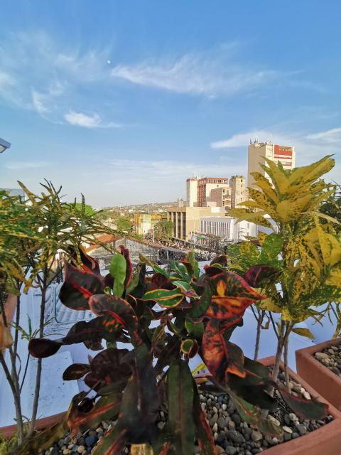 Luka Cartagena Hotel 
